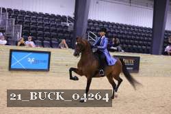 21_BUCK_04264 proof