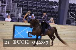 21_BUCK_04265 proof