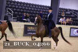 21_BUCK_04266 proof