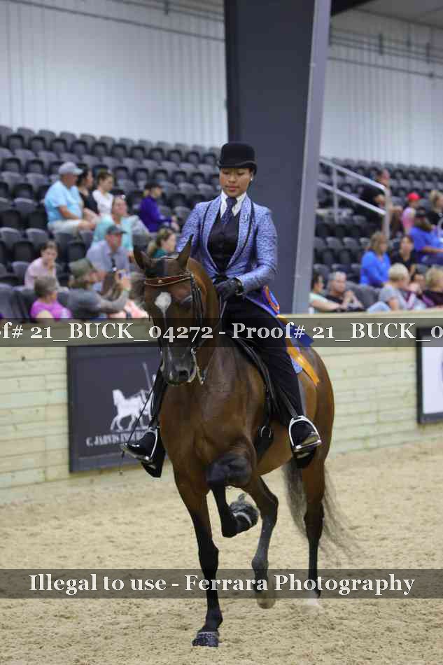 Proof 21_BUCK_04272