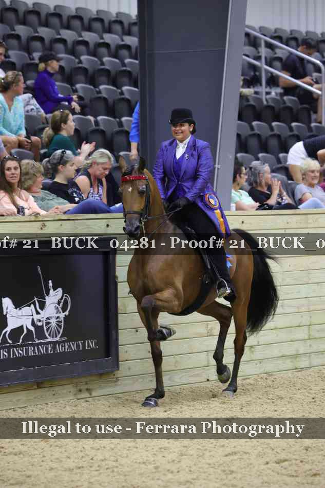 Proof 21_BUCK_04281