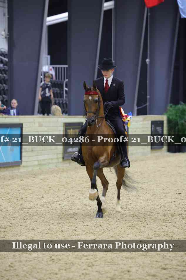 Proof 21_BUCK_04286