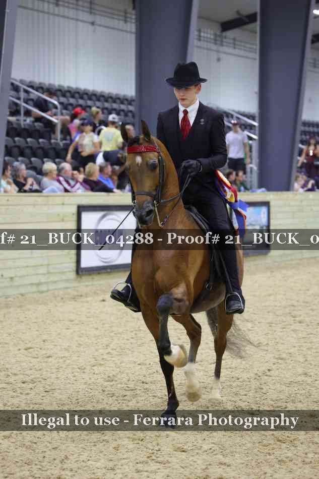 Proof 21_BUCK_04288