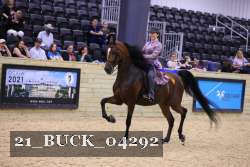 21_BUCK_04292 proof