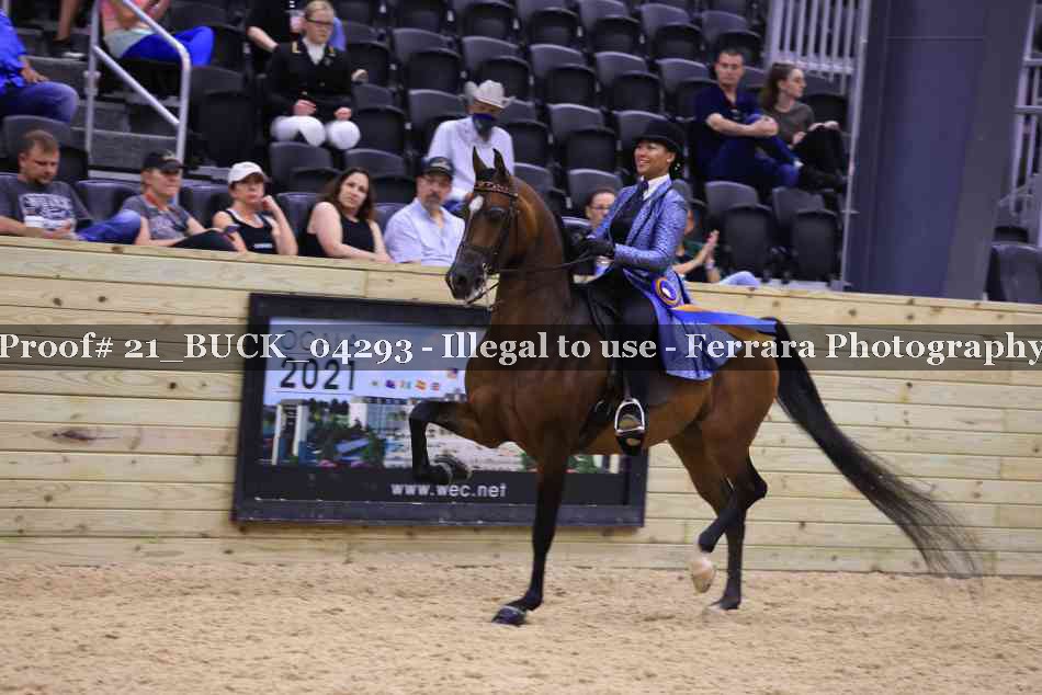Proof 21_BUCK_04293