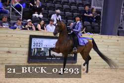 21_BUCK_04293 proof