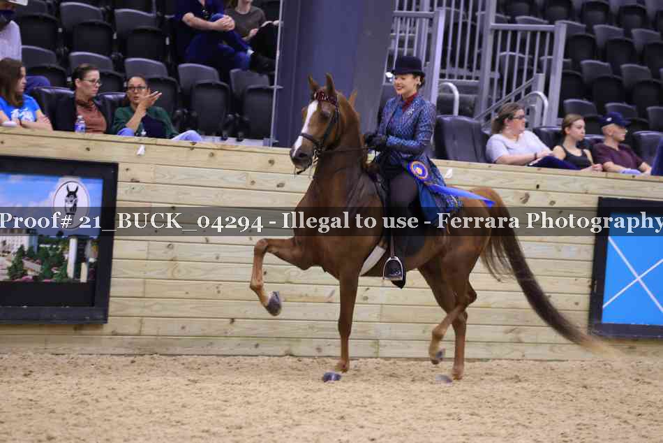 Proof 21_BUCK_04294