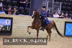 21_BUCK_04294 proof