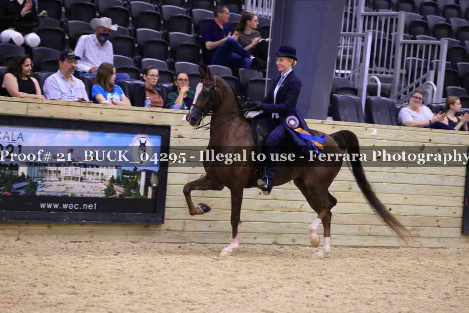 Proof 21_BUCK_04295
