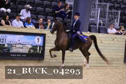 21_BUCK_04295 proof