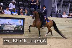 21_BUCK_04296 proof