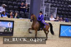 21_BUCK_04297 proof