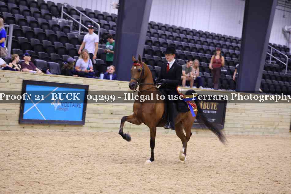 Proof 21_BUCK_04299