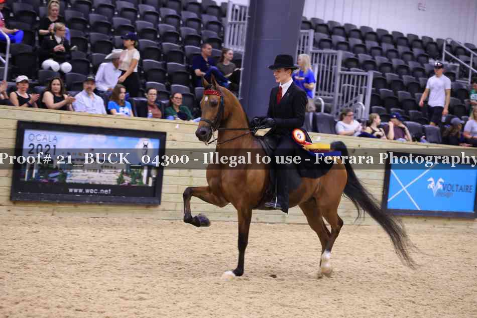 Proof 21_BUCK_04300