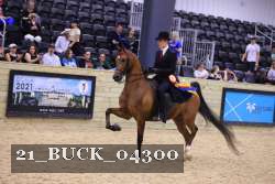 21_BUCK_04300 proof