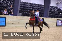 21_BUCK_04301 proof