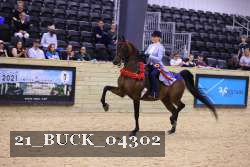 21_BUCK_04302 proof
