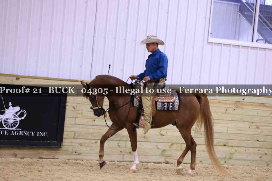 Proof 21_BUCK_04305