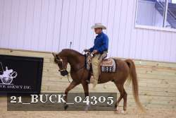 21_BUCK_04305 proof