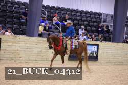 21_BUCK_04312 proof