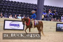 21_BUCK_04313 proof