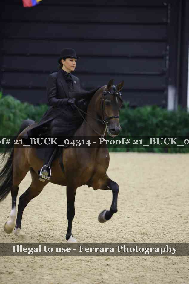 Proof 21_BUCK_04314