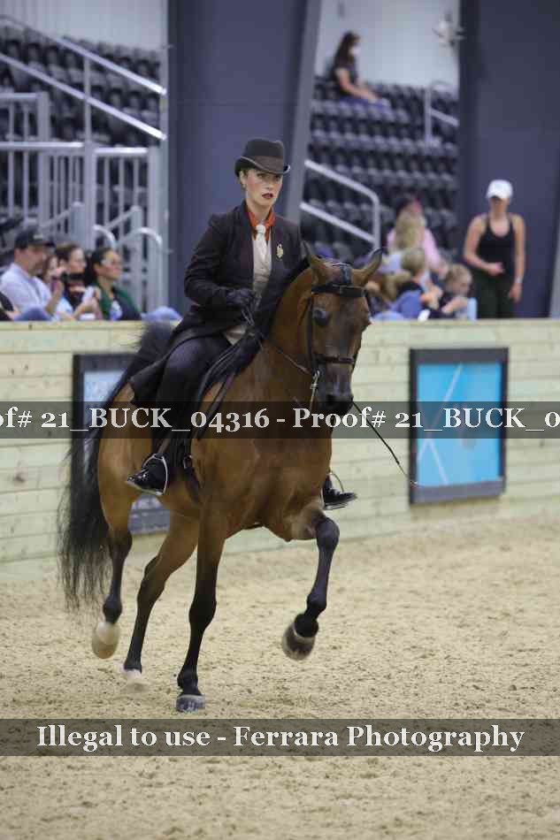 Proof 21_BUCK_04316