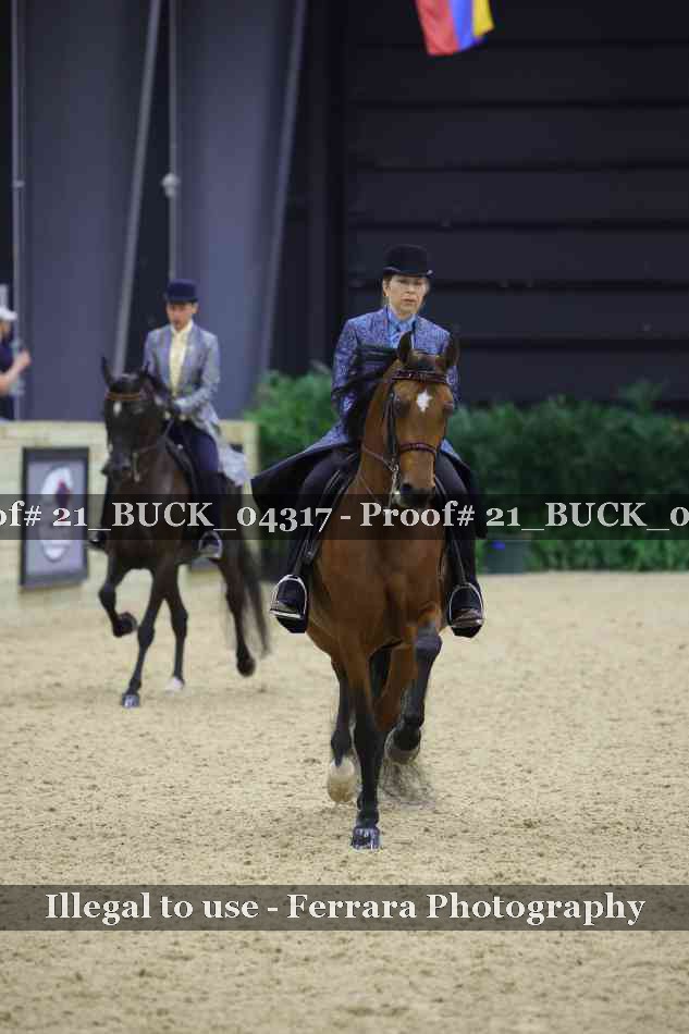 Proof 21_BUCK_04317