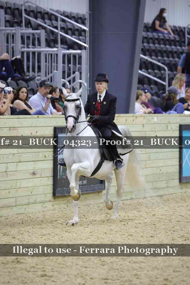 Proof 21_BUCK_04323