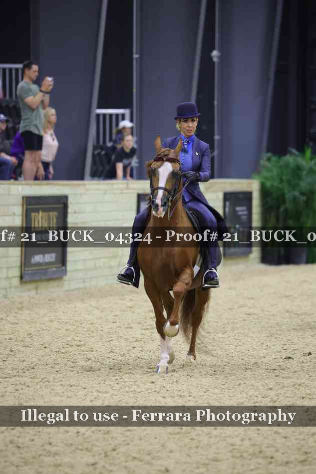Proof 21_BUCK_04324