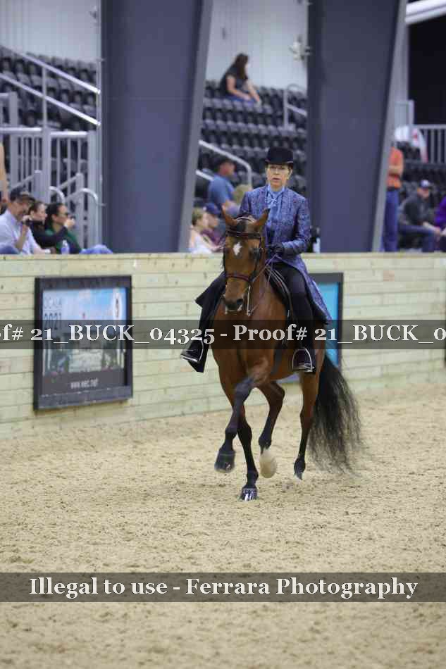 Proof 21_BUCK_04325