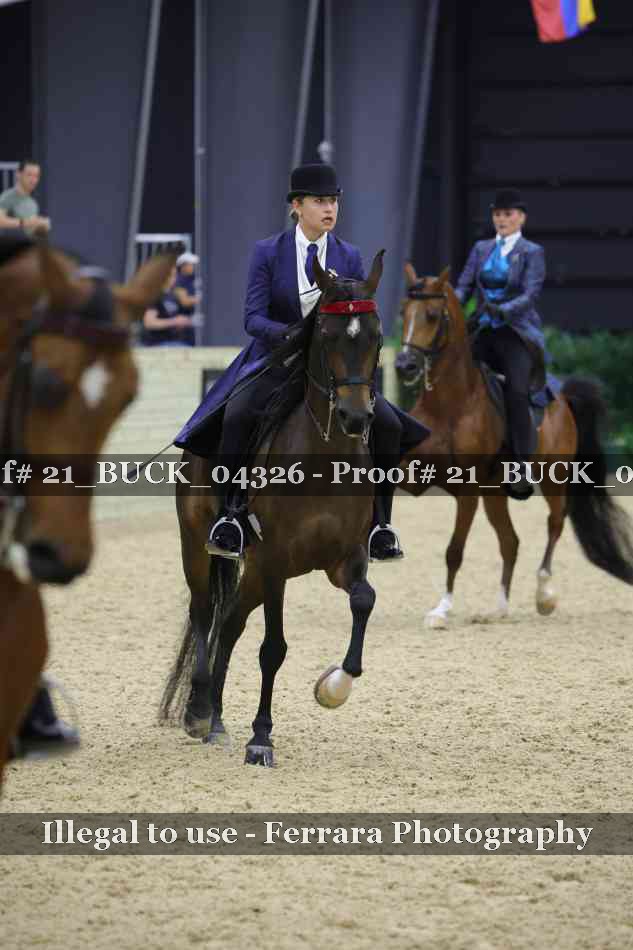 Proof 21_BUCK_04326