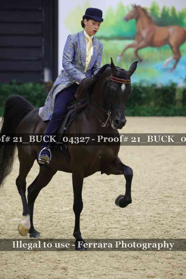 Proof 21_BUCK_04327
