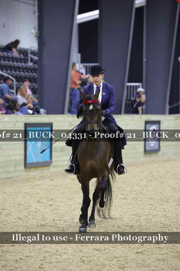 Proof 21_BUCK_04331