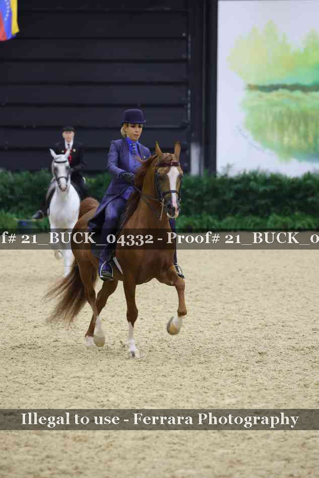 Proof 21_BUCK_04332