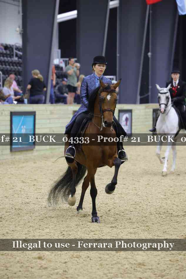 Proof 21_BUCK_04333