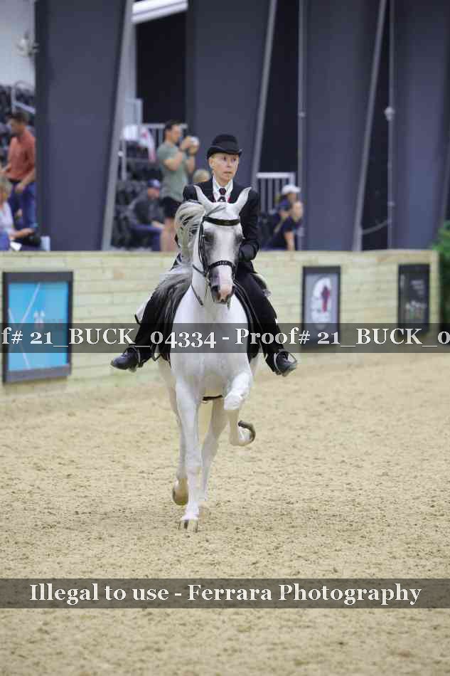 Proof 21_BUCK_04334