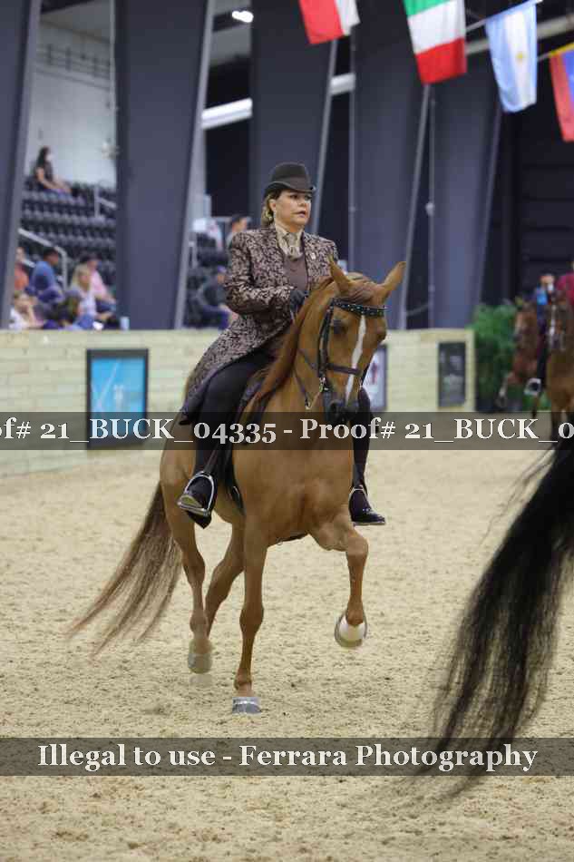 Proof 21_BUCK_04335