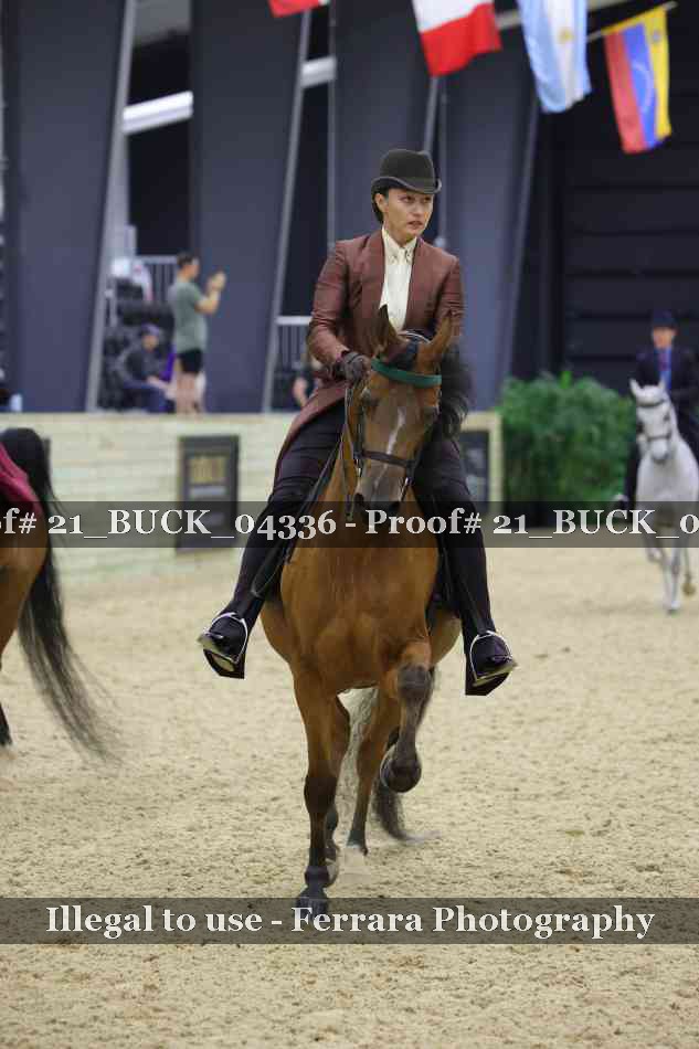Proof 21_BUCK_04336