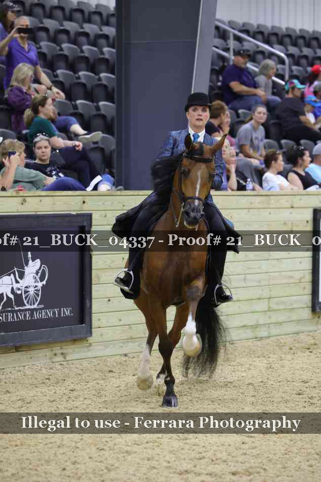 Proof 21_BUCK_04337