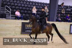 21_BUCK_04338 proof