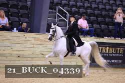 21_BUCK_04339 proof