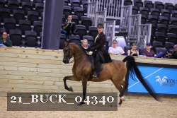 21_BUCK_04340 proof