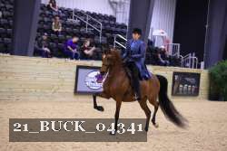 21_BUCK_04341 proof
