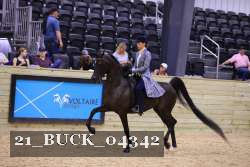 21_BUCK_04342 proof