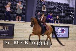 21_BUCK_04344 proof