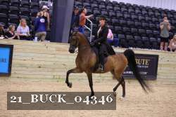 21_BUCK_04346 proof