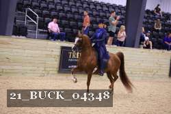 21_BUCK_04348 proof