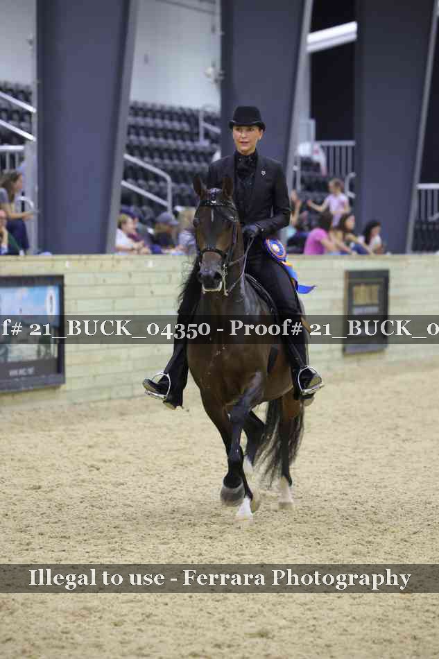 Proof 21_BUCK_04350