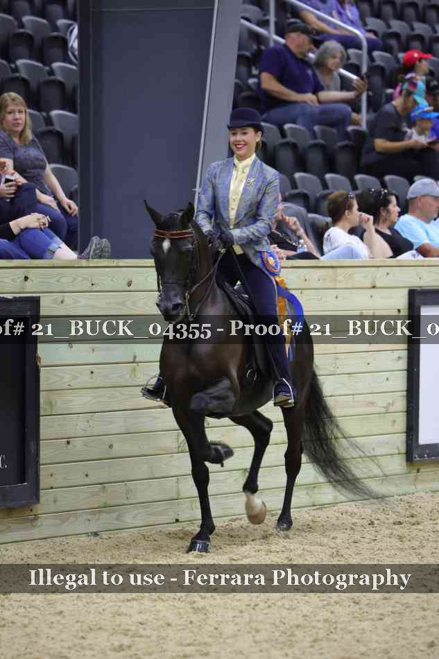 Proof 21_BUCK_04355